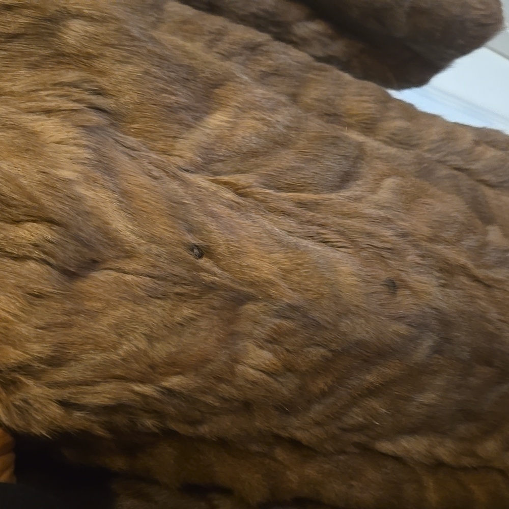 Fur coat - Picture 6 of 6